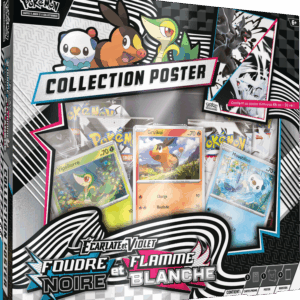 Coffret Poster